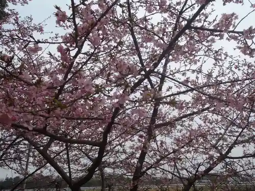 八柱神社(愛知県)