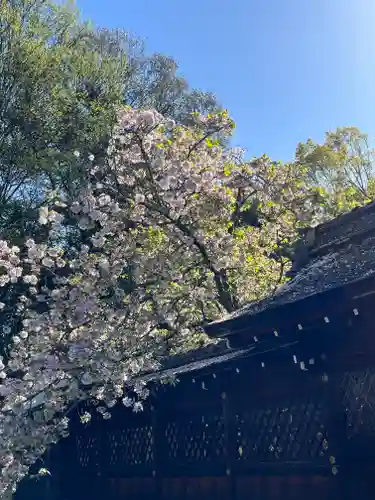 平野神社の自然