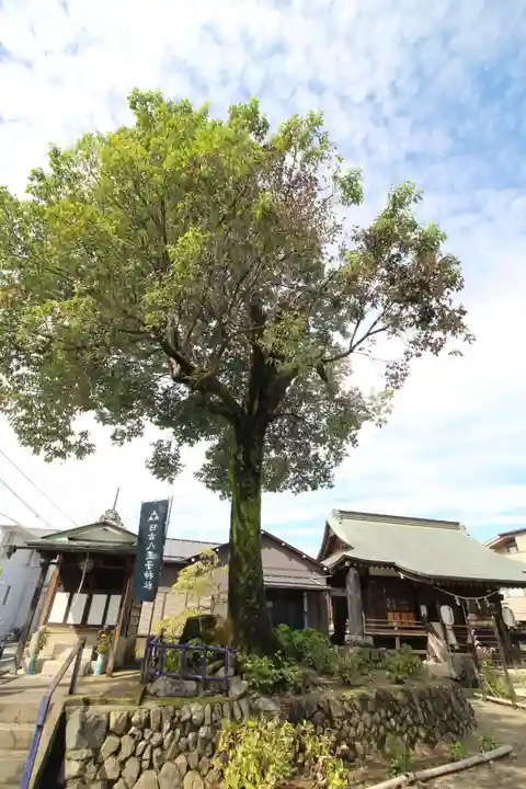 日吉八王子神社の自然