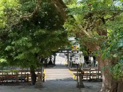 沢田八幡神社(大阪府)