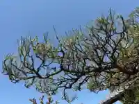 西方山極楽寺(岐阜県)