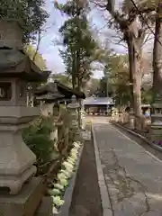 新宮八幡神社(兵庫県)