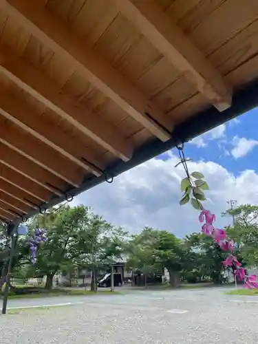 志賀理和氣神社の建物その他