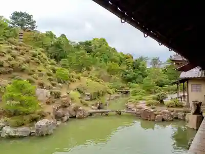 智積院の庭園