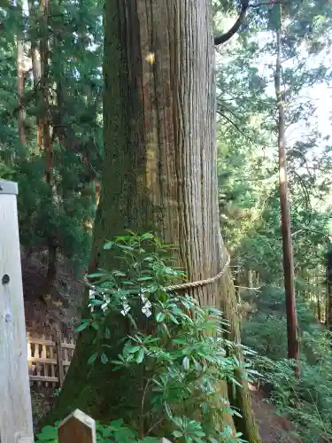玉置神社(奈良県)