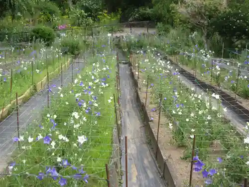 香勝寺(静岡県)