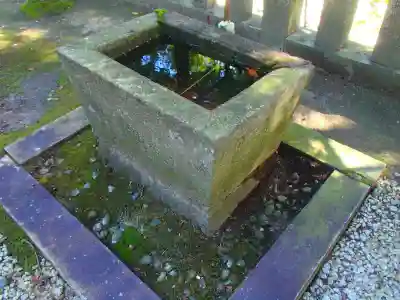 舟森山武並神社の手水舎