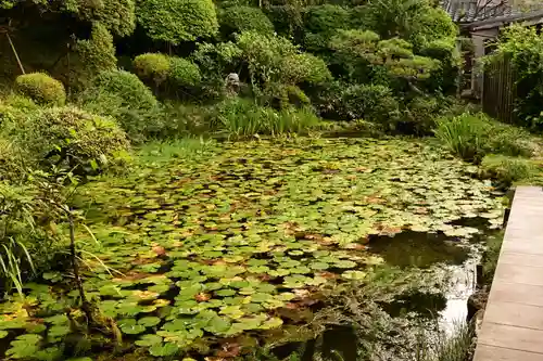 乘臺寺(高知県)