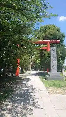 稲毛神社の鳥居