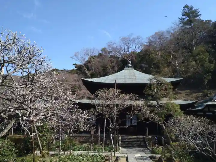 瑞泉寺の本殿・本堂