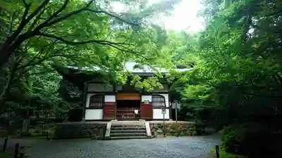 地蔵院(京都府)