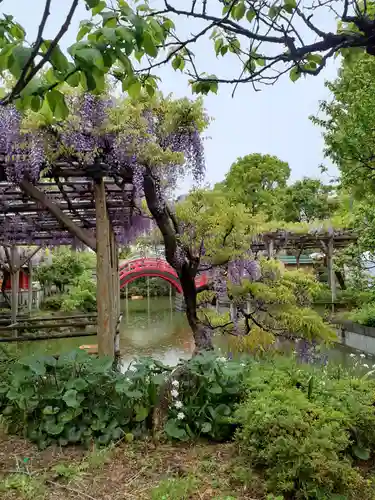 亀戸天神社の景色