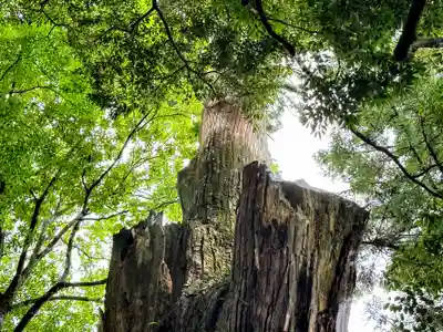 天神社(奈良県)
