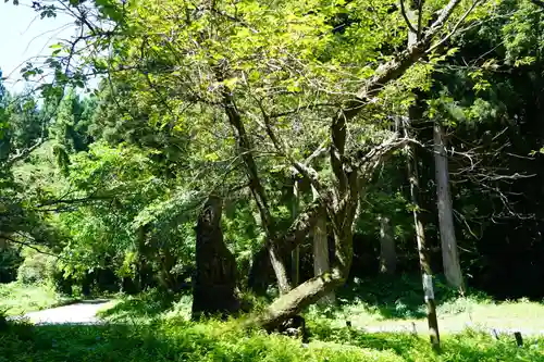 磐椅神社の自然
