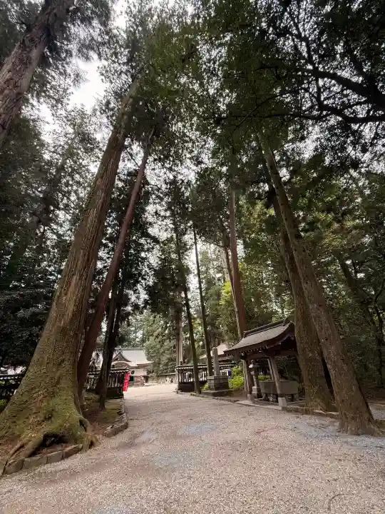 伊和神社の{uncategorized: "未分類", other: "その他", undefined: "問題あり", building: "その他建物", grave: "お墓", sacred_gate: "鳥居", guardian: "狛犬", statue: "像", buddha: "仏像", history: "歴史", nature: "自然", garden: "庭園", animal: "動物", pagoda: "塔", temizu: "手水舎", mountain_gate: "山門・神門", sanctuary: "本殿・本堂", subordinate: "末社・摂社", art: "芸術", scenery: "景色", jizo: "地蔵", ema: "絵馬", goshuin: "御朱印", omikuji: "おみくじ", items: "授与品その他", amulet: "お守り", goshuincho: "御朱印帳", eats: "食事", festival: "お祭り", votive_dance: "神楽", shichigosan: "七五三参", wedding: "結婚式", experience: "体験その他", initially: "初詣", around: "周辺", anti_infection: "感染症対策"}