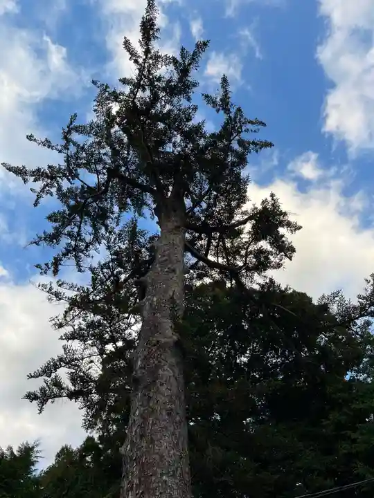 滑川神社 - 仕事と子どもの守り神(福島県)