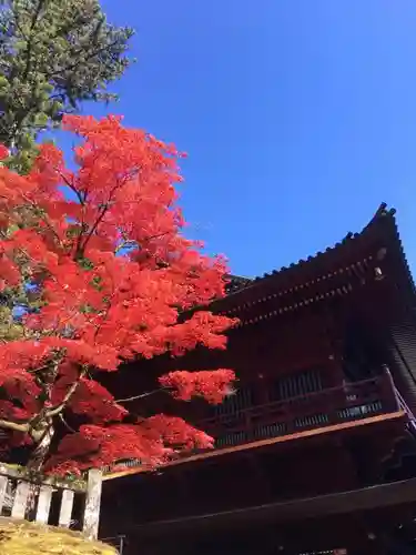 輪王寺のその他建物