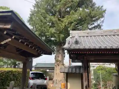 真福寺(神奈川県)