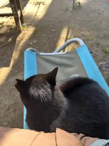 岡部春日神社～👹鬼門よけの🌺花咲く🌺やしろ～(福島県)