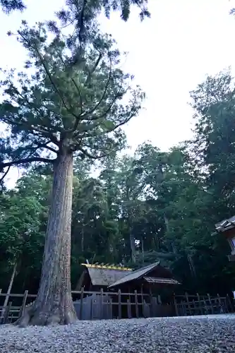 瀧原宮(皇大神宮別宮)の建物その他