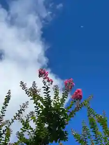 国宝 大法寺の自然(2022年07月24日(日) 14時20分04秒投稿)