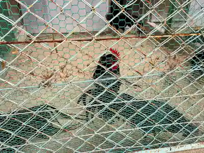 玉祖神社(山口県)