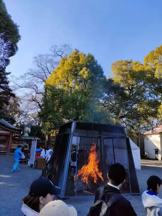 津島神社の初詣