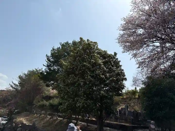 永澤寺(兵庫県)