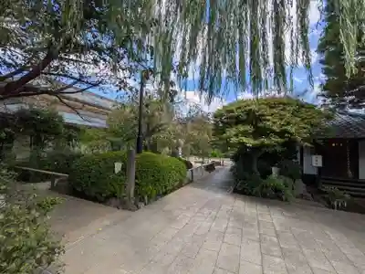 龍眼寺(萩寺)(東京都)