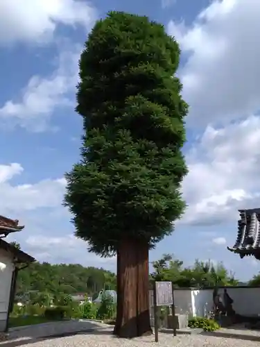 向陽寺(愛知県)