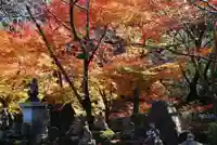 大寧寺(山口県)