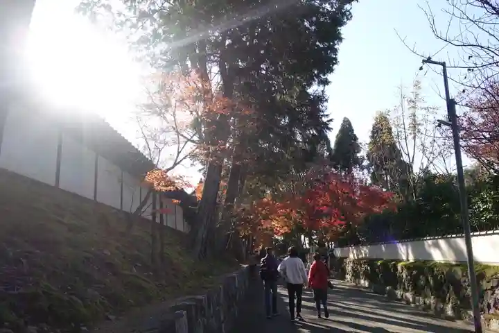 東福禅寺(東福寺)の景色