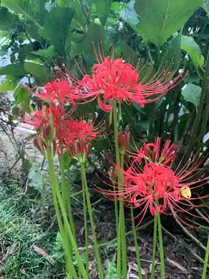 楞厳寺(茨城県)