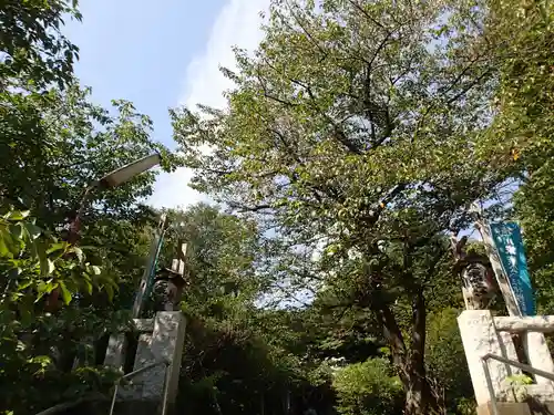 芝東照宮の自然