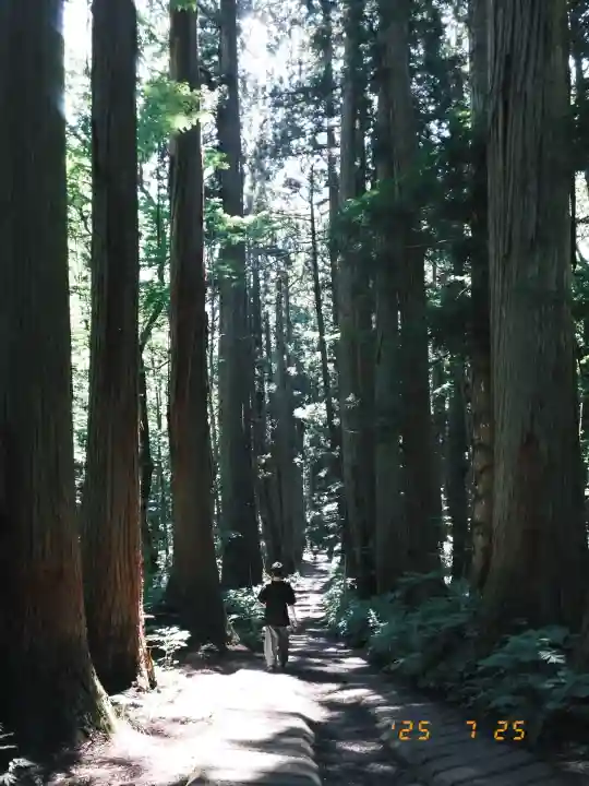 戸隠神社奥社の{uncategorized: "未分類", other: "その他", undefined: "問題あり", building: "その他建物", grave: "お墓", sacred_gate: "鳥居", guardian: "狛犬", statue: "像", buddha: "仏像", history: "歴史", nature: "自然", garden: "庭園", animal: "動物", pagoda: "塔", temizu: "手水舎", mountain_gate: "山門・神門", sanctuary: "本殿・本堂", subordinate: "末社・摂社", art: "芸術", scenery: "景色", jizo: "地蔵", ema: "絵馬", goshuin: "御朱印", omikuji: "おみくじ", items: "授与品その他", amulet: "お守り", goshuincho: "御朱印帳", eats: "食事", festival: "お祭り", votive_dance: "神楽", shichigosan: "七五三参", wedding: "結婚式", experience: "体験その他", initially: "初詣", around: "周辺", anti_infection: "感染症対策"}