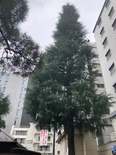 髙福院(東京都)