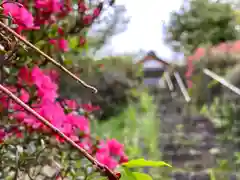 和神社(長野県)