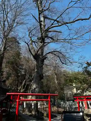山名八幡宮の{uncategorized: "未分類", other: "その他", undefined: "問題あり", building: "その他建物", grave: "お墓", sacred_gate: "鳥居", guardian: "狛犬", statue: "像", buddha: "仏像", history: "歴史", nature: "自然", garden: "庭園", animal: "動物", pagoda: "塔", temizu: "手水舎", mountain_gate: "山門・神門", sanctuary: "本殿・本堂", subordinate: "末社・摂社", art: "芸術", scenery: "景色", jizo: "地蔵", ema: "絵馬", goshuin: "御朱印", omikuji: "おみくじ", items: "授与品その他", amulet: "お守り", goshuincho: "御朱印帳", eats: "食事", festival: "お祭り", votive_dance: "神楽", shichigosan: "七五三参", wedding: "結婚式", experience: "体験その他", initially: "初詣", around: "周辺", anti_infection: "感染症対策"}