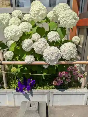 発寒神社(北海道)