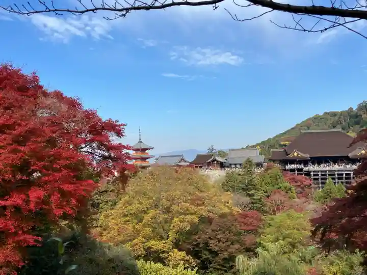 清水寺(京都府)