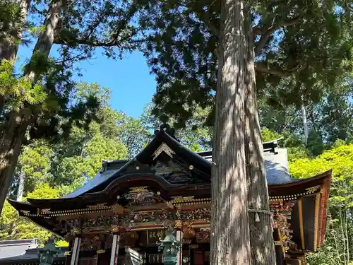 三峯神社(埼玉県)