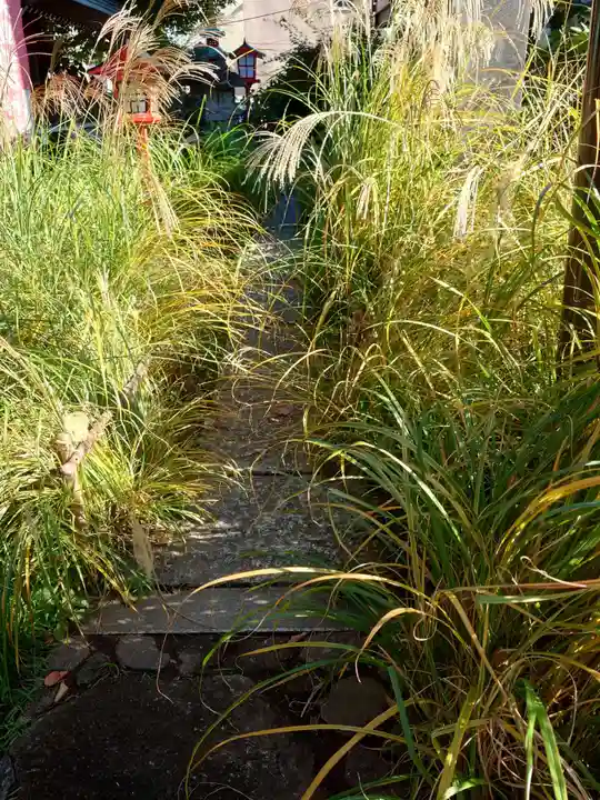 大島稲荷神社の自然