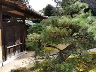 慈光院(奈良県)