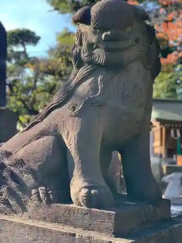 赤羽八幡神社の狛犬