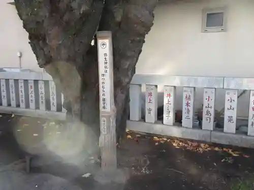 弥生神社(神奈川県)