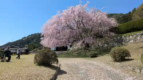 泰門庵(滋賀県)