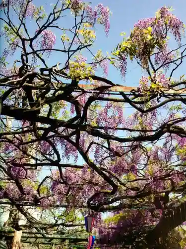 國領神社(東京都)