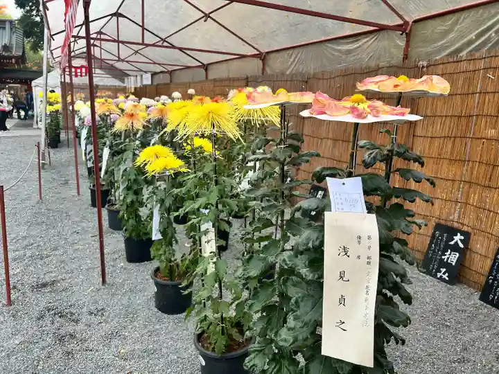 秩父神社の庭園