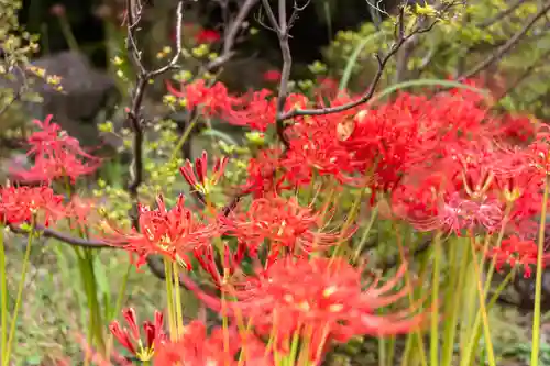 霧島神宮(鹿児島県)