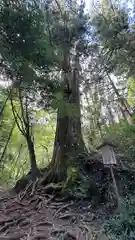 花園神社(茨城県)